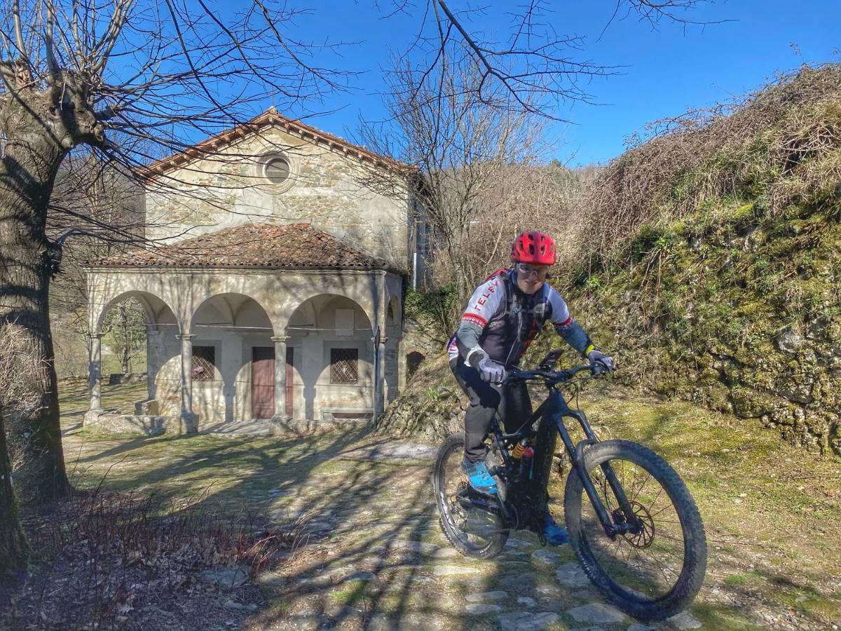 Villa Belvedere Pieve Fosciana Εξωτερικό φωτογραφία