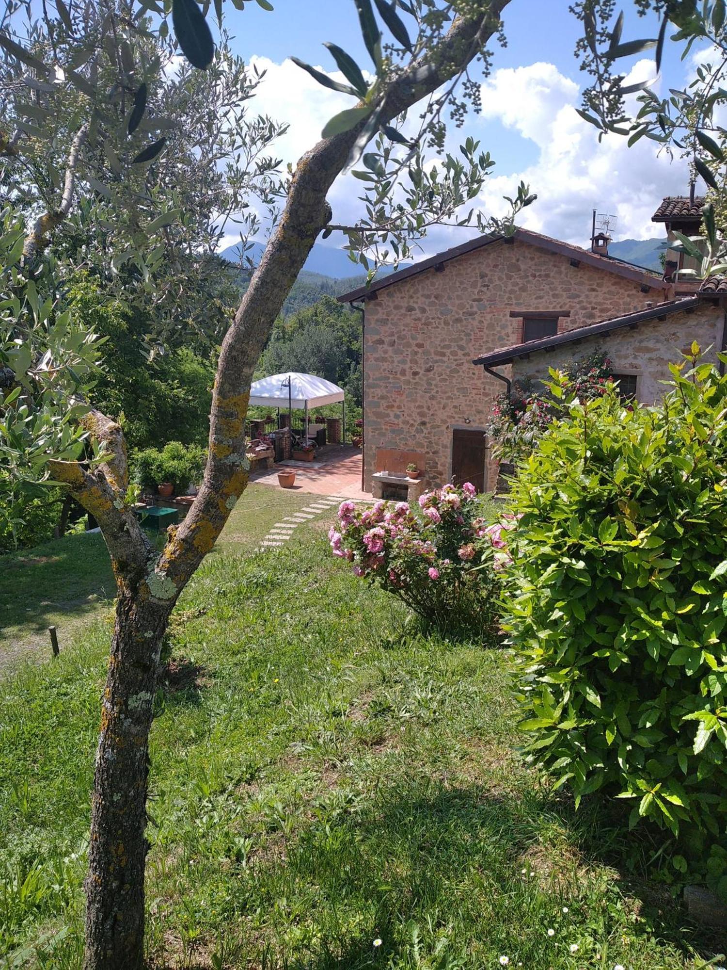 Villa Belvedere Pieve Fosciana Εξωτερικό φωτογραφία